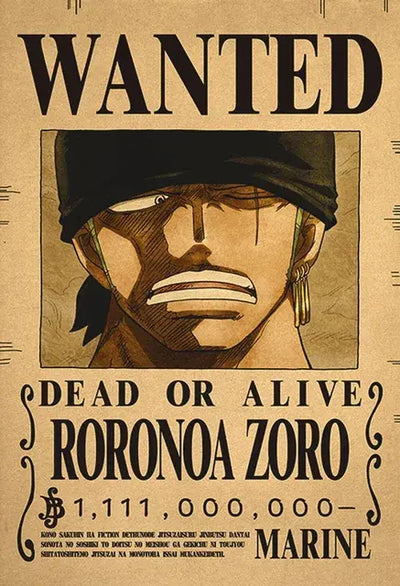 One Piece Wanted Posters