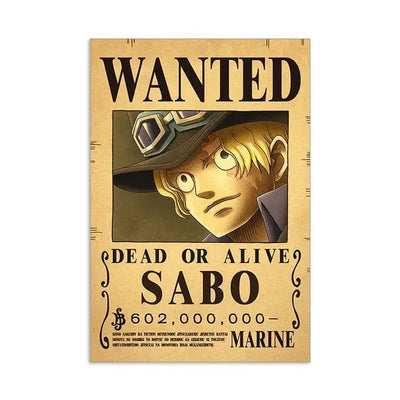 One Piece Wanted Posters