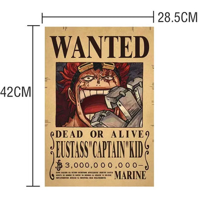 One Piece Wanted Posters