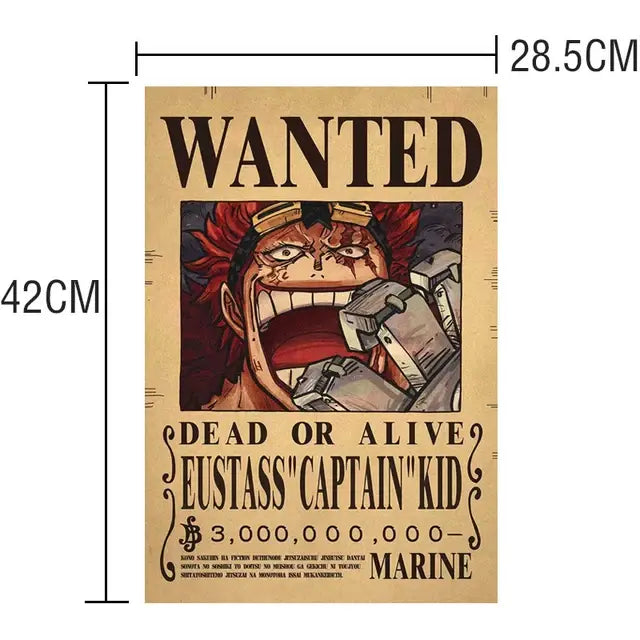 One Piece Wanted Posters